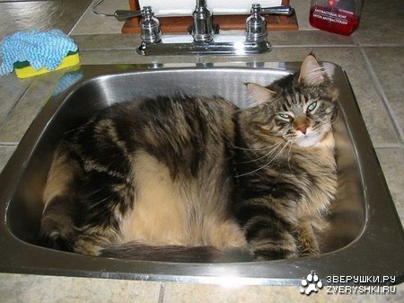 ���������� ������ (15 ����)