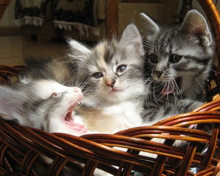 ������������ ������ :)