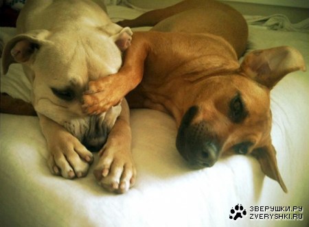 ������ ��������! ;)