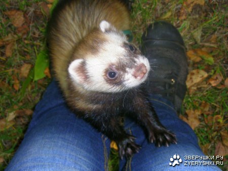 ��, ��� �����������! :)