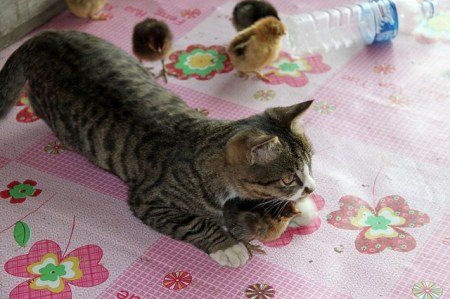 ����������, ������! :)