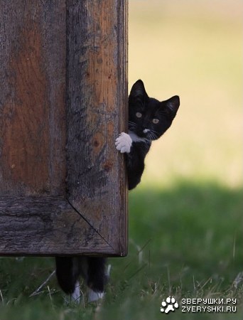 � ��� ��� �� ��� �������? ;)