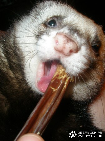 ���, ���! :)