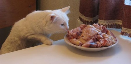 ���� ������! ����� � ��������� :)