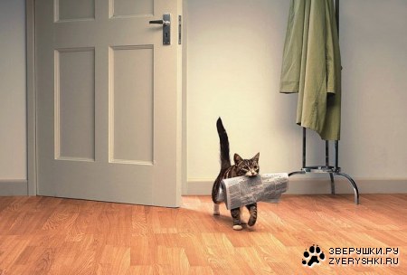 ��� � ���� ������? :)