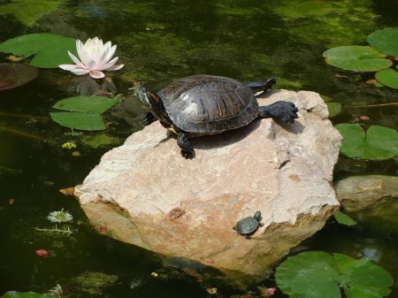 � �� �������� ����... :)