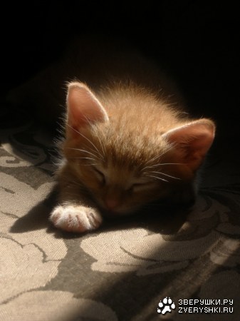 ��������� ���� :)