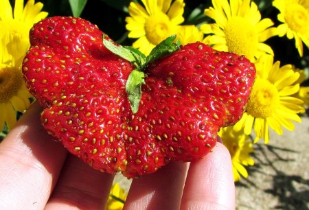 ���������� ������� :)