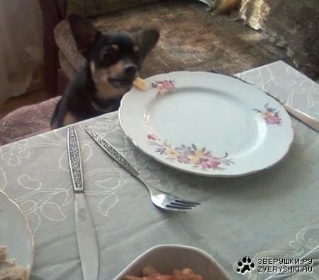 � ��� �� ���? :)