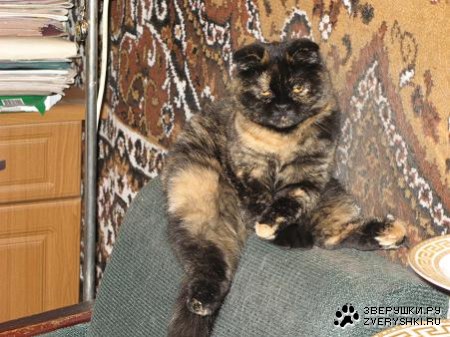 �������� ��������� :)