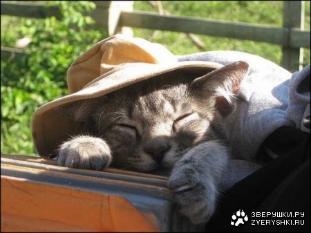 �������� �� �������� :)