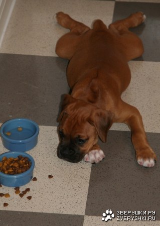 �� ��� ������... :)