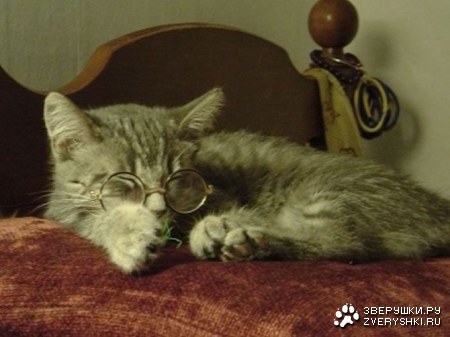 ���� ������ (10 ����)