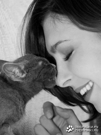 �������� ;)