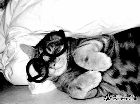 ���� ������ (10 ����)