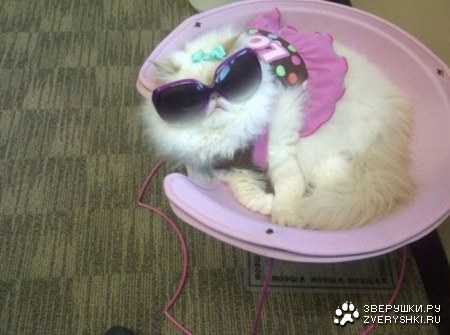 ���� ������ (10 ����)