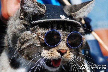 ���� ������ (10 ����)