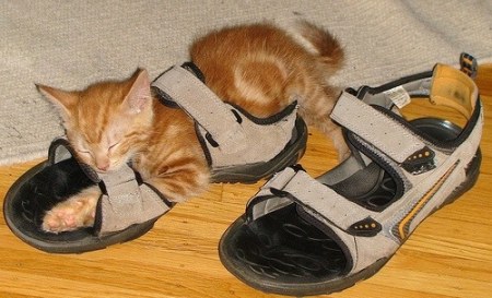 ��������� ����� ��� ��� ;)