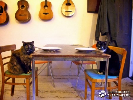 � ��� ��� ����?! :)