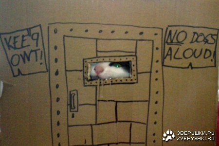 ��� � ������ �����? ;)