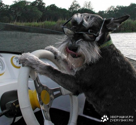 ����������? ;)