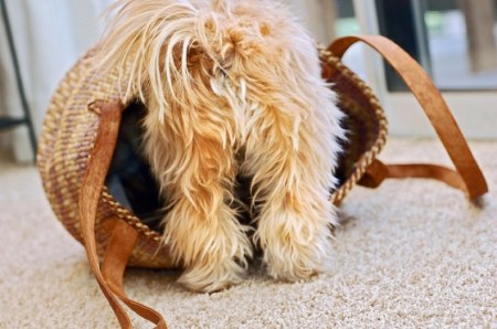 ��� ��� � ����� ������������ ����? :)