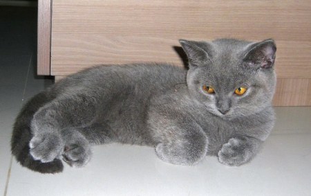 ������� :)