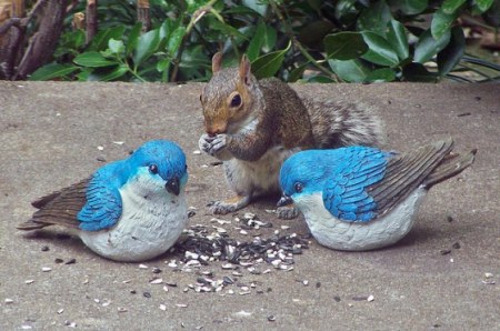 ������� ;)