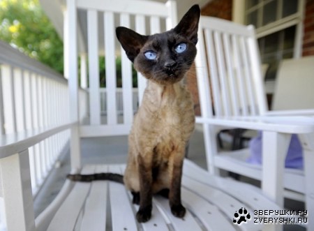 ˸���� ��� ������� ������! :)