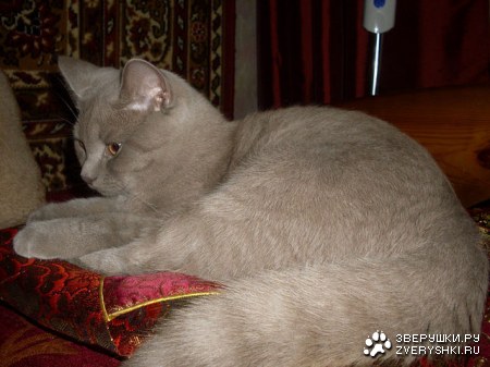 ���������!