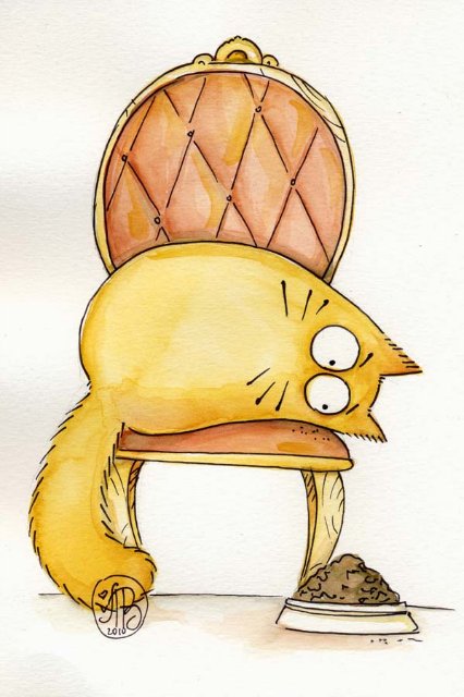 Котики Марии Ван Брюгген (14 фото) Котики Марии Ван Брюгген (14 фото)