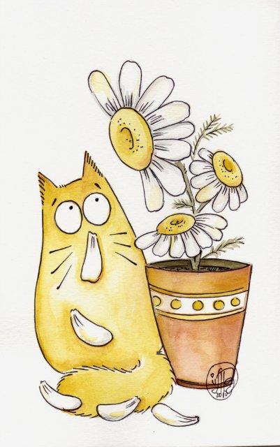 Котики Марии Ван Брюгген (14 фото) Котики Марии Ван Брюгген (14 фото)