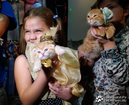 �������� ����� � ������! (33 ����)