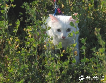 �������� � ������!