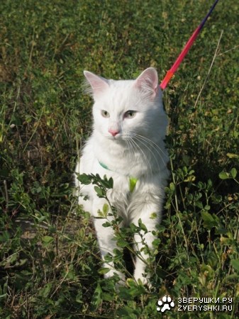 �������� � ������!