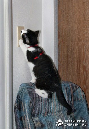 ��� ��������� ����?! ;)