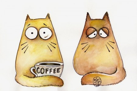 ������ ����� ��� ������� (14 ����)