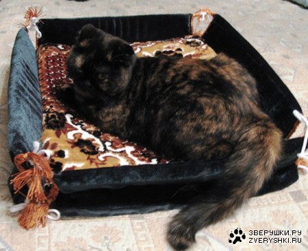 � � ��� ����� �������!