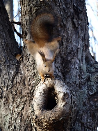 ��������, �����, ������� (����� 2)