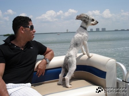 �������������� ;)