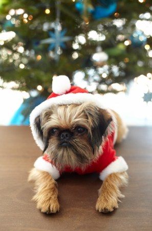 �����-����� ����� ��� :)