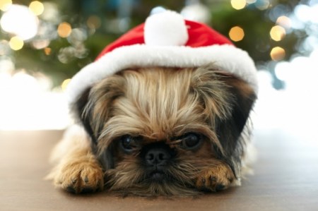 �����-����� ����� ��� :)