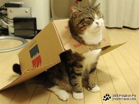 ������� ���� :)