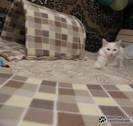 � ��� ��� ����� ���������!