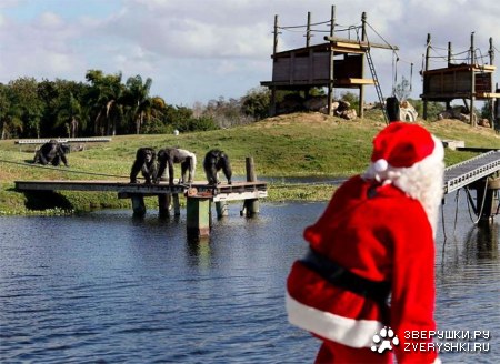 �������� ���� �������� ��������� (11 ����)