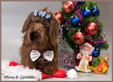 � ����� �����! :)