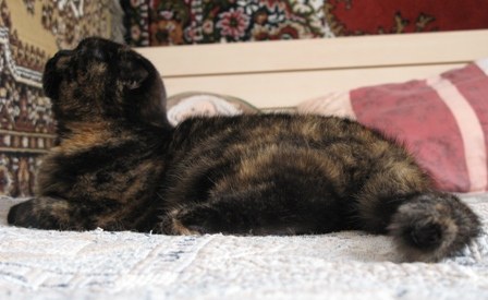 ������ - ������  ���� ������ ����!