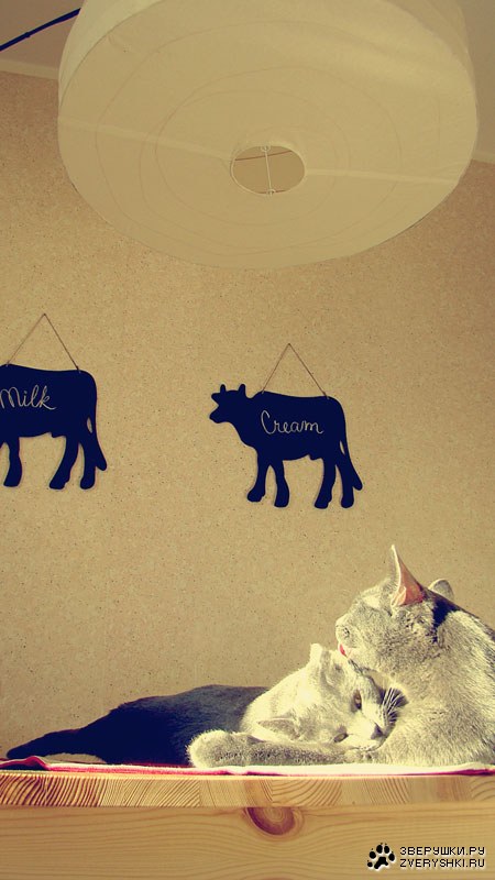 �������������� ������ � ������ (25 ����)