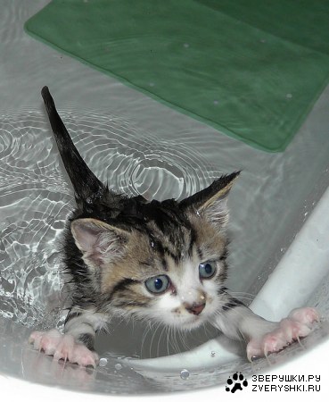 �� ����� ������! (6 ����)