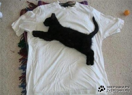 ������ �������� (7 ����)